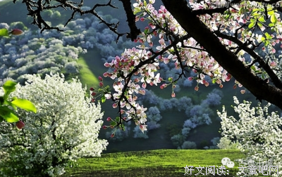 关于醉花阴的句子