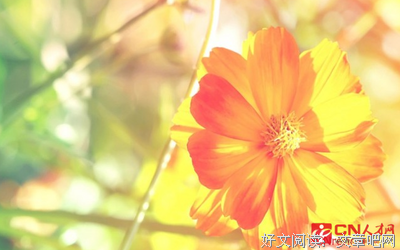 关于黑暗文的优美句子