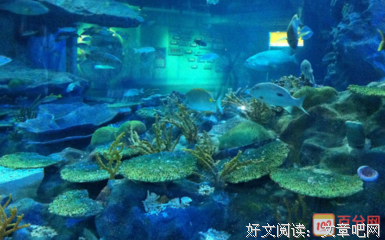 《炙热的我们》经典观后感1000字