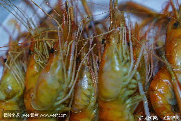 昨晚讹老板一顿4000块的龙虾后，他要开除我