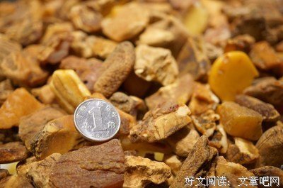 《淡蓝琥珀》观后感摘抄