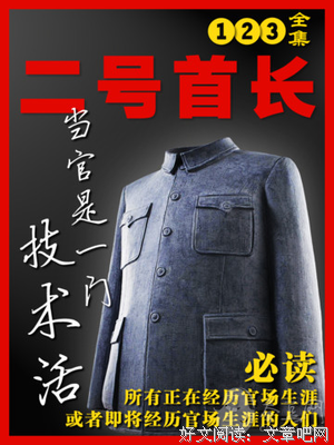 二号首长的读后感大全