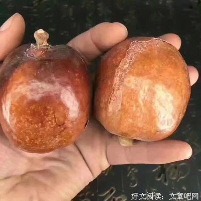 佛心流泉读后感锦集