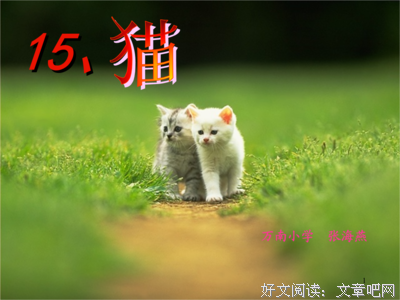 描写无忧无虑的经典句子