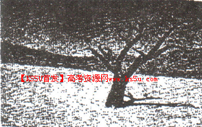 自由自在的句子