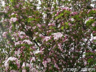 关于甜言蜜语的座右铭