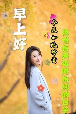 关于众所周知的唯美语录