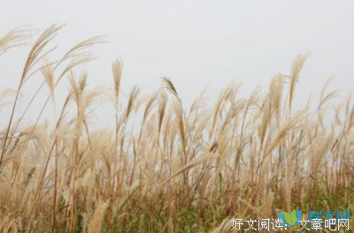 描写无所畏惧的经典句子