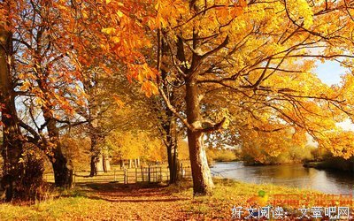 悄无声息的句子