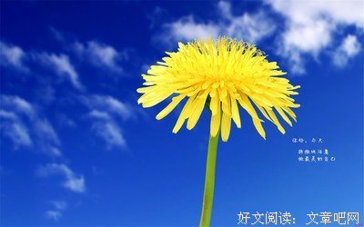 励志 人生句子大全