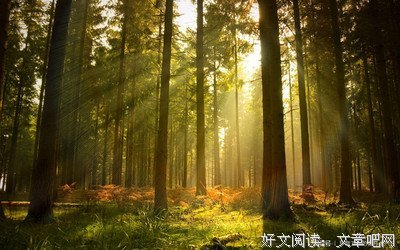 浅仁周运（6.1-6.7）