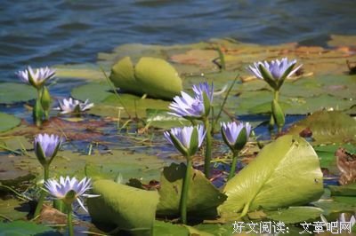 后半生，请好好活！