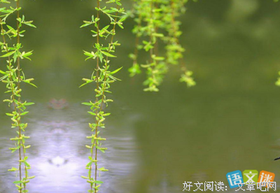 绵绵阴阴好词好句