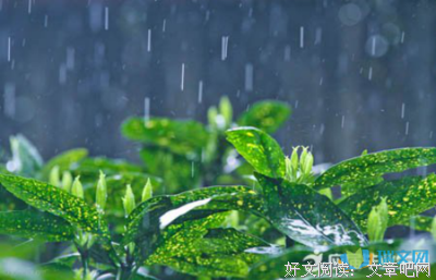 关于雨夜的句子