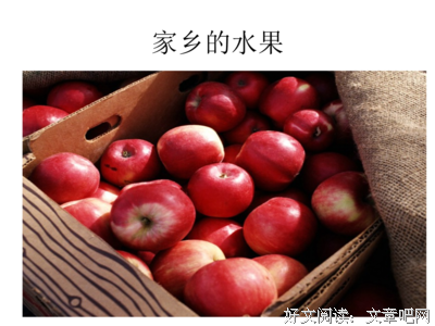 关于哇的句子