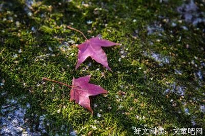 让心归零（深度好文）