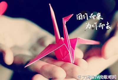 关于英文的优美句子