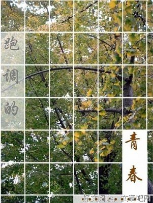 掩埋在尘埃下的那些年华读后感1000字