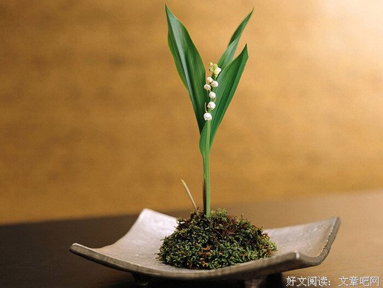 我们这样近，我们那样远