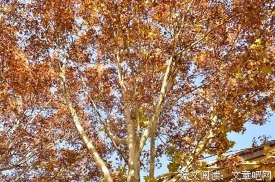 25岁以后就特别想过儿童节，这是为什么呢