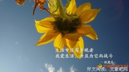 无理取闹的语句摘抄_关于无理取闹的语句