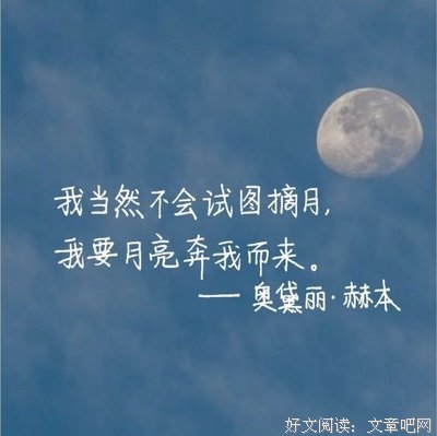 有关平淡无奇的美句摘抄