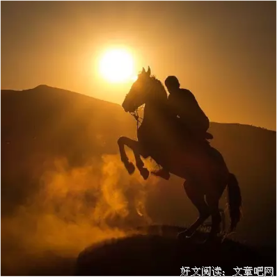 永远不要去追一匹马！（深度好文）
