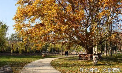 喜欢优美的句子