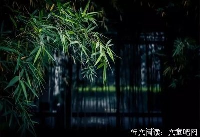生活不简单，何不简单过