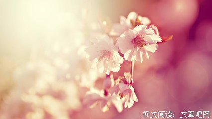 我的思念优美的句子