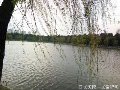 我不赞同你的观点，但我捍卫你说话的权利