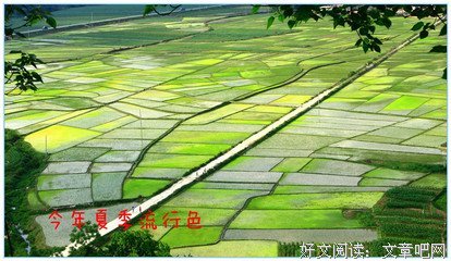 2020夏日流行色，太美了