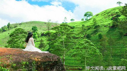 关于相濡以沫，不如相忘于涂湖。的句子