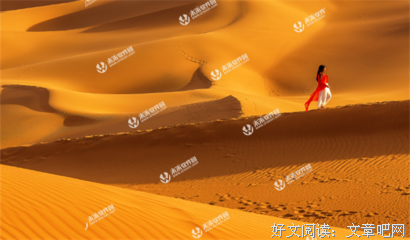 过往不究，余生不见