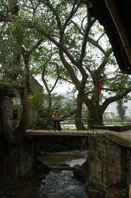 《我站在桥上看风景》经典观后感集