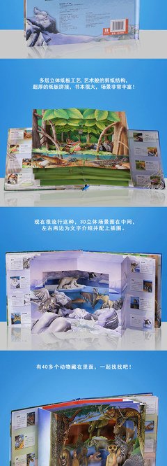 《世界动物绘本（超大版）》读后感锦集