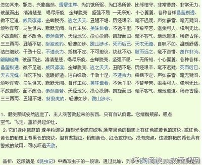 《单身伊凡的城堡》经典读后感有感