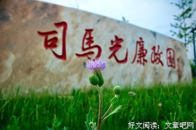 花花世界读后感1000字