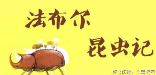 《中国昆虫生态大图鉴》的读后感大全