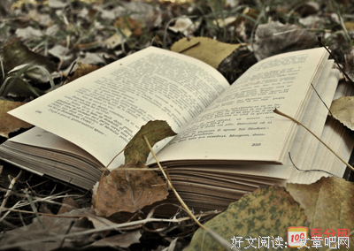 《现代中国的历程》读后感1000字