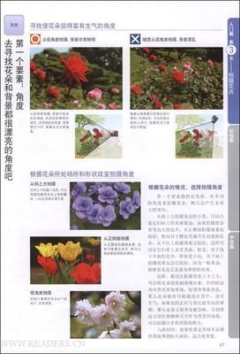 《手把手教你数码摄影》读后感1000字