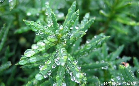 几千年来误解最深的这3句话，害了多少人？ 