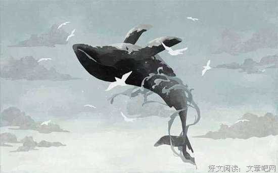 一鲸落，万物生！这是世界上最浪漫的死亡