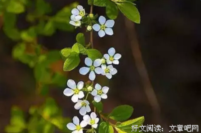 描写稍纵即逝的语句摘抄