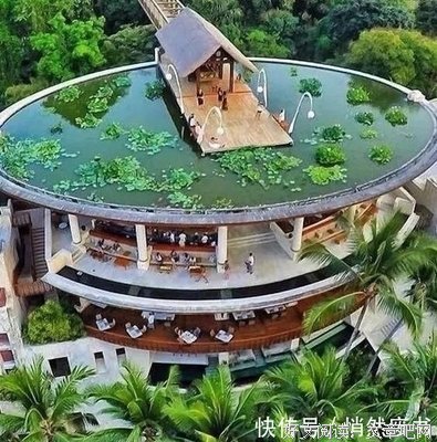 目瞪口呆的句子