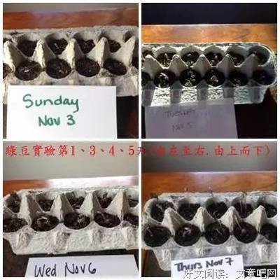如何看待「你创造你自己的实相」
