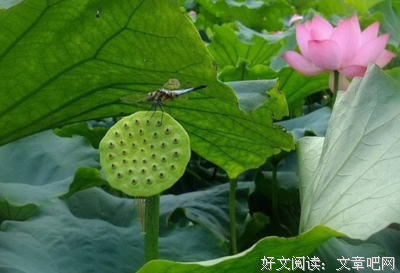 古韵悠扬丨一诺百年烟雨，何计有无凭