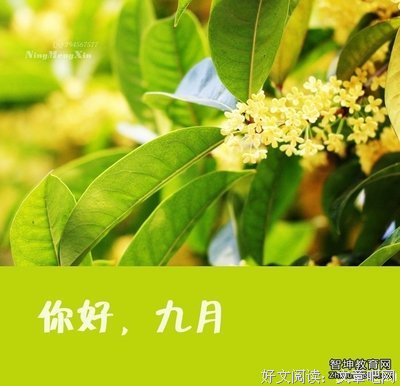 关于对你好的优美句子