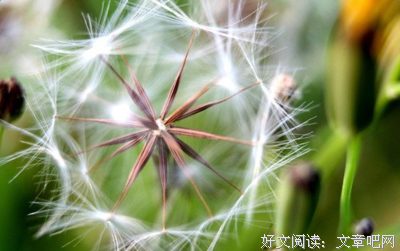 成功经典名句