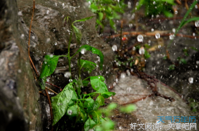我的他别睛，下雨了经典的句子